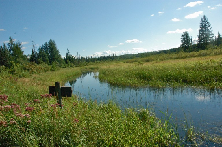 Prairie Grass, Mississippi River, copyright Kvogel
