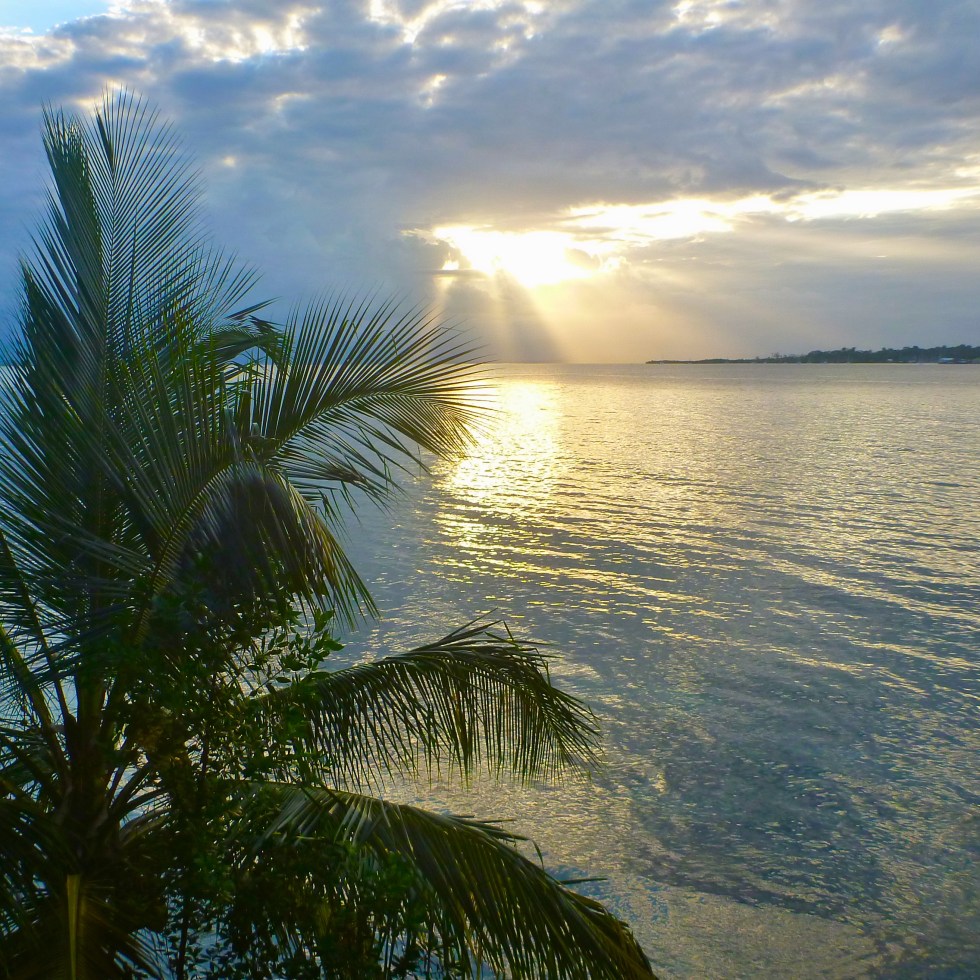 Free Ocean, @kvogel2012