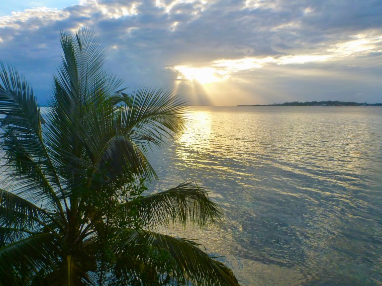 Free Ocean, @kvogel2012